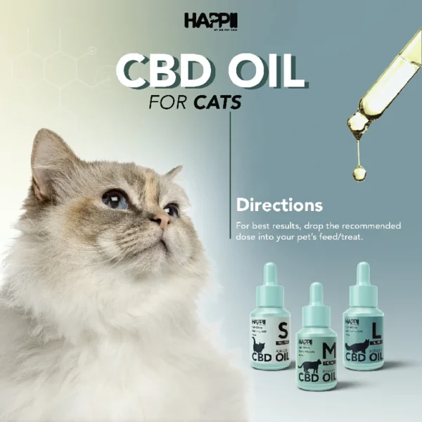cbd oil pet cat 3