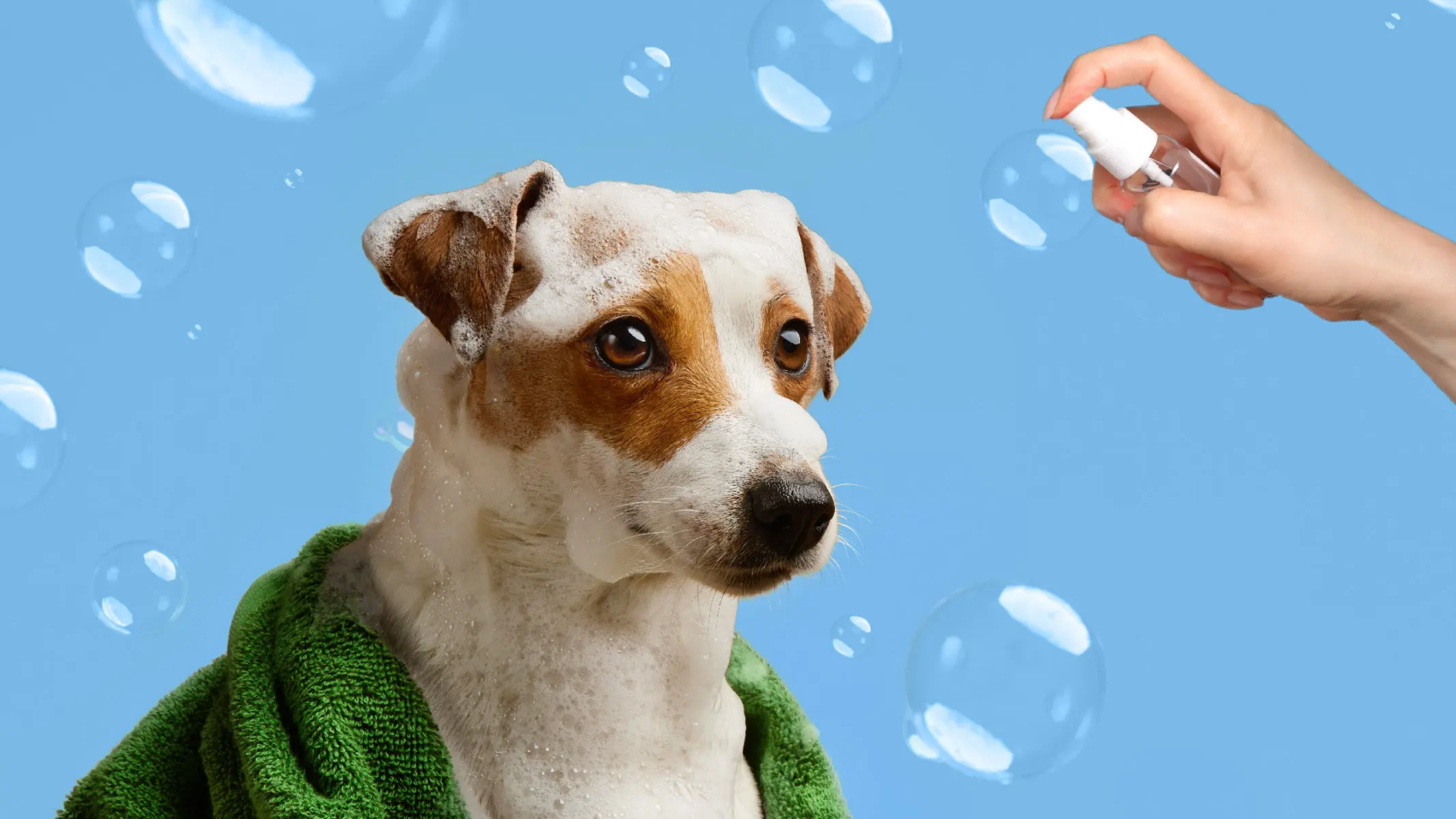 dog-drying-bath-spray