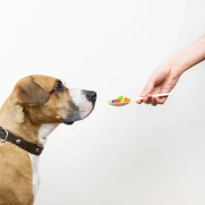 vitamins-for-dog